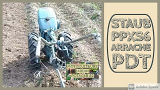 Motoculteur Staub PPXS6 arrachage pomme de terre 2018 [upl. by Latsryk]