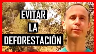 Cómo EVITAR la DEFORESTACIÓN de los Bosques [upl. by Tonie]