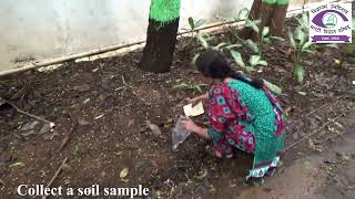 8th Exp  Biotic and Abiotic factors in an ecosystem  Marathi Vidnyan Parishad [upl. by Hickie20]