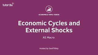 External Shocks and Economic Cycles [upl. by Tierell747]