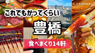 【豊橋】グルメ！元地元民がオススメする14軒食べ歩きガイド☺️ローカル飯、老舗、B級、ランチ、居酒屋🏮 [upl. by Yramanna296]