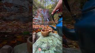 ADVENTURE Relaxing survival skills ASMR survival shortvideo [upl. by Dlorrej]