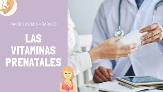 Las vitaminas prenatales  Cápsulas Mi Embarazo [upl. by Ahseek]