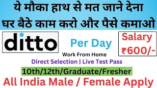 Ditto Work From Home Jobs 2024  Customer Service Jobs From Home  Online Jobs at Home  Freshers [upl. by Swanhildas]