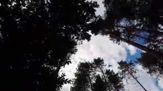 Center Parcs Sherwood Forest Timelapse [upl. by Kistner]