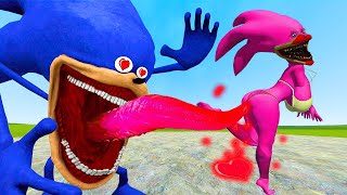 Shin Sonic Tapes EXPERT Shares Top Family Battle Techniques in Garrys Mod [upl. by Alrzc]