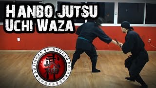 Ninjutsu  Hanbō Jutsu  Uchi Waza Kukishinden Ryū [upl. by Yenruoj605]