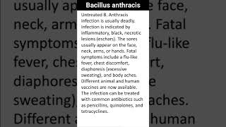 Bacillus anthracis  Quick Learn Micro  Microbiology Shorts [upl. by Nikos]