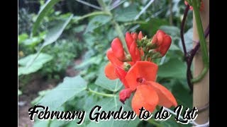 NZ February Garden to do List [upl. by Ofloda]