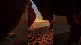 Urdu translation Quran Tilawat [upl. by Wesa362]