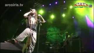 Alborosie Live  FULL CONCERT 2012 [upl. by Adnhoj467]