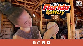 The Florida Rattery Rat Breeding Facility Tour rat [upl. by Rim]