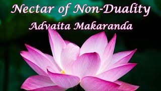 Advaita Makaranda  Nectar of NonDuality  Verses 45 [upl. by Atnwahs162]