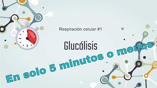 Glucólisis en sólo 5 minutos o menos [upl. by Helaine]