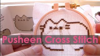 Pusheen Cross Stitch Kit Review Beginner Cross Stitch [upl. by Nnasor]