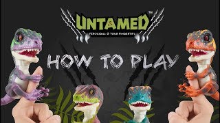 UNTAMED Toys  How to Play Make Dino Farts Replace Batteries and More [upl. by Tamaru183]