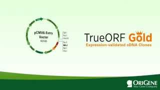 TrueORF GOLD the only expressionvalidated cDNA clones [upl. by Frantz666]