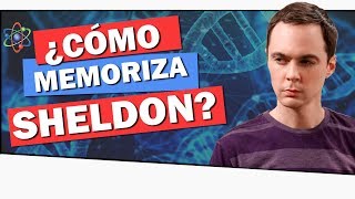 ¿QUÉ ES LA MEMORIA EIDÉTICA 🧠 ¡Aprende a Memorizar como SHELDON COOPER [upl. by Airdnekal363]