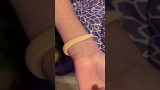 Hognose snake jewelry hognose hognosesnake westernhognose snake snakevideo [upl. by Alin]