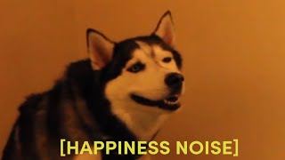 HILARIOUS Husky Sneeze  Happiness Noise Meme Compilation [upl. by Elbys]