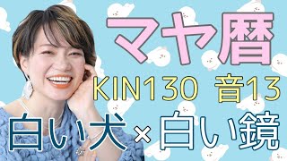 マヤ暦【KIN130】白い犬 白い鏡 音13 開運ポイント「人に嫌われる同じ理由で、別の人に好かれる」 [upl. by Sirref]