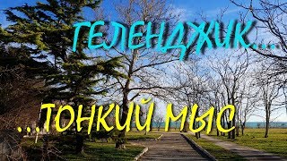 ГЕЛЕНДЖИКВЕСНА НАСТАЛА ТОНКИЙ МЫС ИСТОРИЯ ГОРОДА 3 февраля 2019 [upl. by Maddock282]