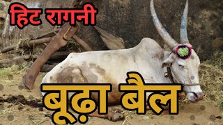 बूढ़ा बैल  Aaya Budhapa Kadwa Kar Ke Ragni  Pandit LakhmiChand Ki Hit Ragni [upl. by Anomer36]