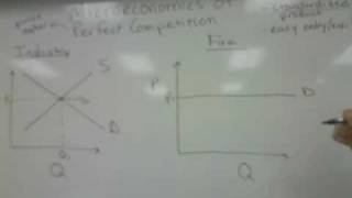 Microeconomics of Perfect Competition Part 1 [upl. by Nolyaw]