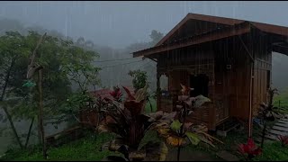 Ultimate Thunderstorm ASMR for Deep Relaxation and Anxiety Relief  Rain Carnation [upl. by Akinor]