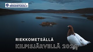 RIEKKOJAHDISSA KILPISJÄRVELLÄ 2024 [upl. by Arolf]