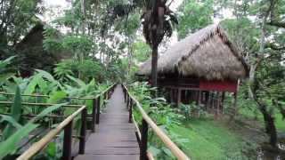 Centro Ecoturístico Las Guacamayas Chiapas [upl. by Anavrin]