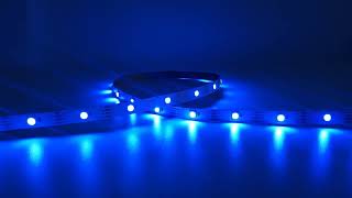 30LEDM DC12V WS2815 RGBW pixel led strip light [upl. by Anatol319]