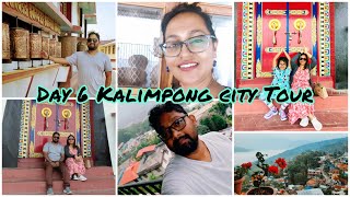 Day 6 Kalimpong City Tour  Durpin Monestry  Morgan House  Sunrise Inn Homestay [upl. by Desdamona]