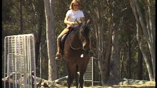 Horse Riding Naturally [upl. by Nissie452]