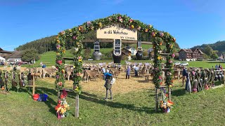 Viehschau Lütisburg – Tufertschwil im schönen Toggenburg – Sennisch nach alter Tradition [upl. by Fowler]