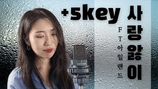 KPOP 사랑앓이Love Sick  FT아일랜드 5key up Cover by LAYN 너무나 많이 사랑한 최 [upl. by Stubstad]