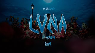 RVFV MAKA  LUNA Visualizer [upl. by Ahseyk]