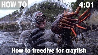 How to Freedive for Crayfish [upl. by Eniluj369]