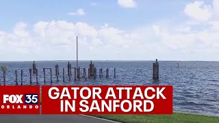 Florida man attacked by alligator while swimming in Seminole County lake [upl. by Nywles]