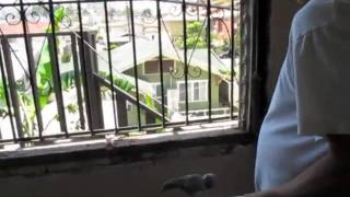 Apartment Remodeling  Replacing Window pt1 [upl. by Feldstein]