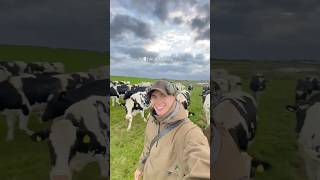 Wildfowling on the Isle of Anglesey duckhunting countryside [upl. by Ylrebnik887]