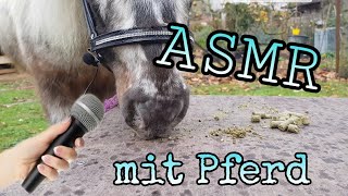 ASMR Pferdegeräusche🎵😍 [upl. by Ecylla803]