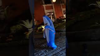 Tiburones bailando en San miguel de allende [upl. by Ringsmuth]