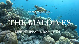 Snorkelling in the Maldives 4K 60 FPS original piano [upl. by Saideman216]