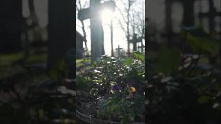 Stull Cemetery Kansas l Parte 2 🎙️cementerio fantasmas paranormal misterio suspenso [upl. by Jamille]