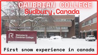 Cambrian College Sudbury Ontario First Snow  Cambrian College International Student  Nepali [upl. by Nohpets]