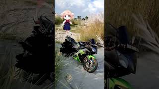 Bike Short  Ninja  Bmw  Shorts  Short  shortsfeed shortvideo bikelover bike [upl. by Odrareg]