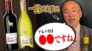 【激安ワイン】アルパカって美味しいですか？ [upl. by Thatcher]