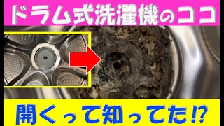 ドラム式洗濯機ここ、開くって知ってた！？開け方と掃除方法の紹介です。臭いの元や乾燥機能の低下に繋がりますので時々メンテナンスしてあげて下さい！ドラム式洗濯機クリーニング ＃ドラム式洗濯機ホコリ [upl. by Drabeck]