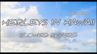 Herleys in Hawaii slowed reverb  new creation by Badal Kaushik [upl. by Ellis]